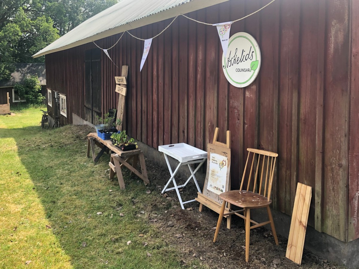 Tusen trädgårdar 2024