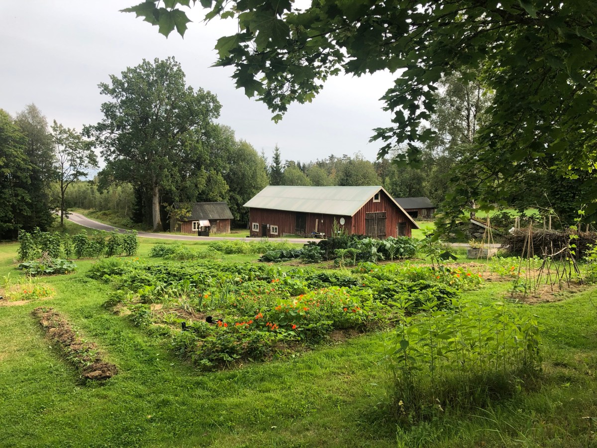 Odlingsstrategiskt tänkande