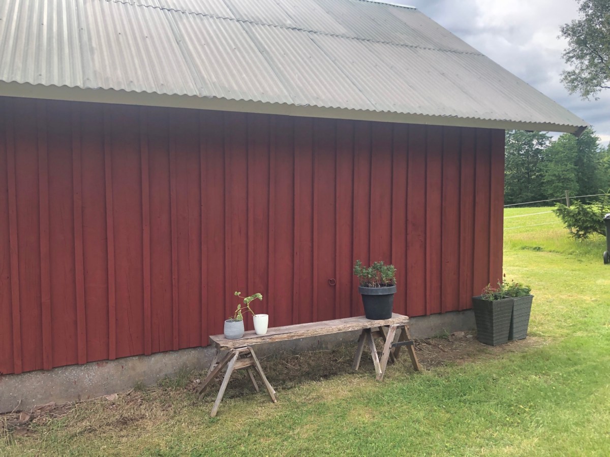 Inför Land Öppen trädgård&nbsp;2025