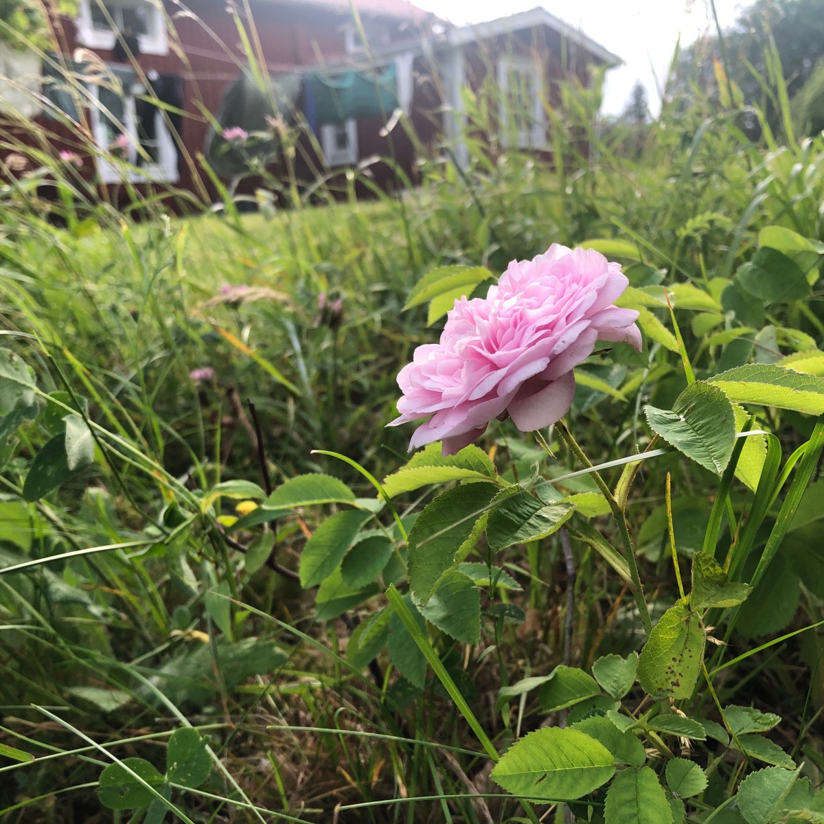 2025 – året&nbsp;då…